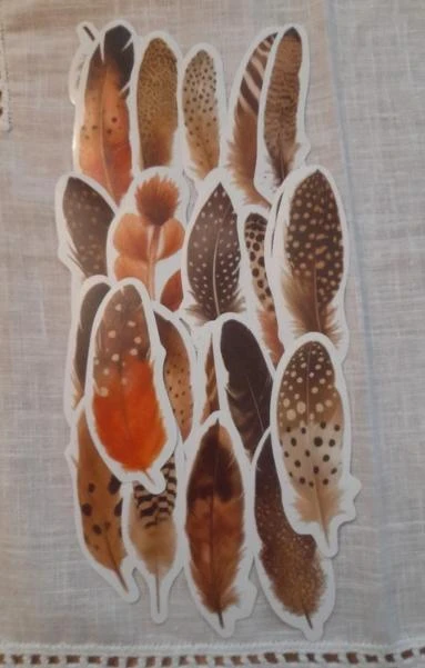 Conjunto de autocolantes de penas para trabalhos manuais